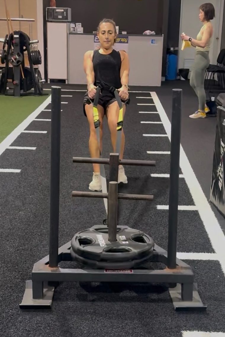 Rosie on the sled push