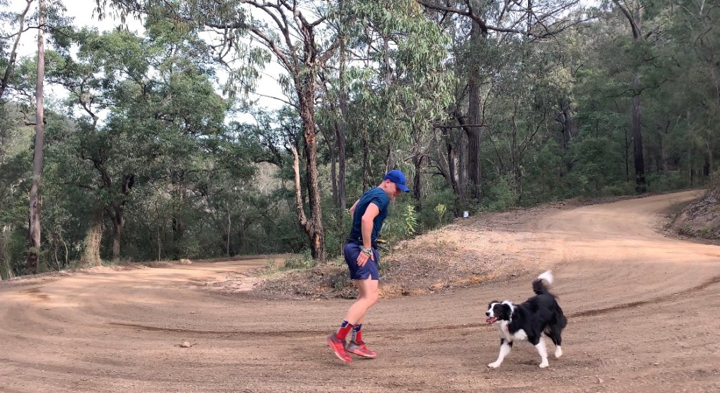 One small step, two small&nbsp;steps….