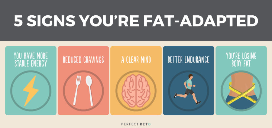 My benefits from fasting (fat adaptation)