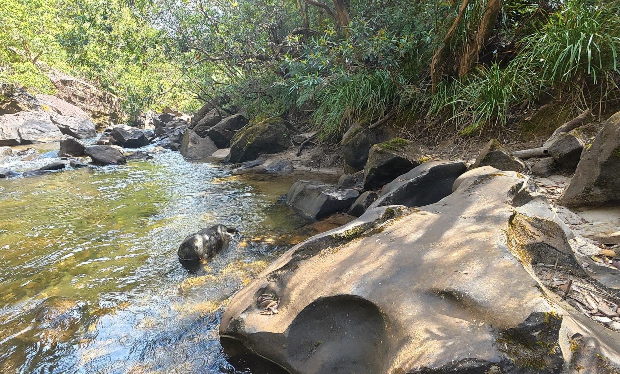 Clear water running over sandstone boulders on the Grose River