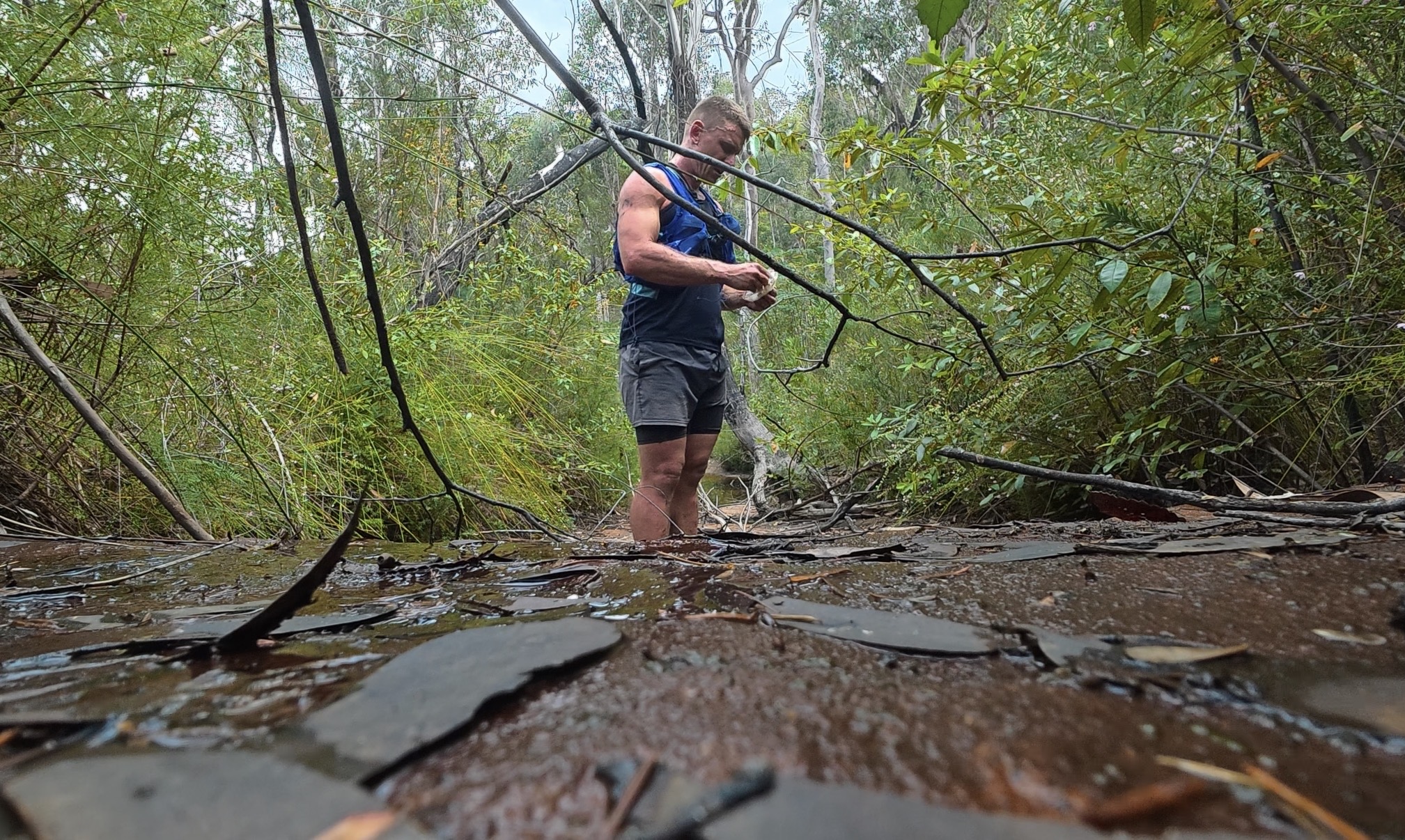 Nathan pushing his way through a tangle of branches in thick bush