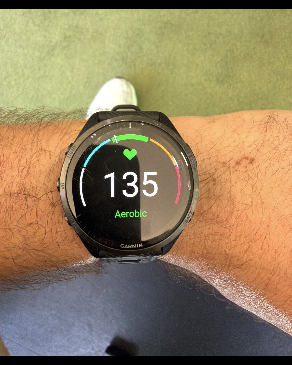Berdo's Garmin watch showing a heart rate of 135 in the aerobic zone during an easy session